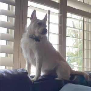 Meet your Posher, Jack